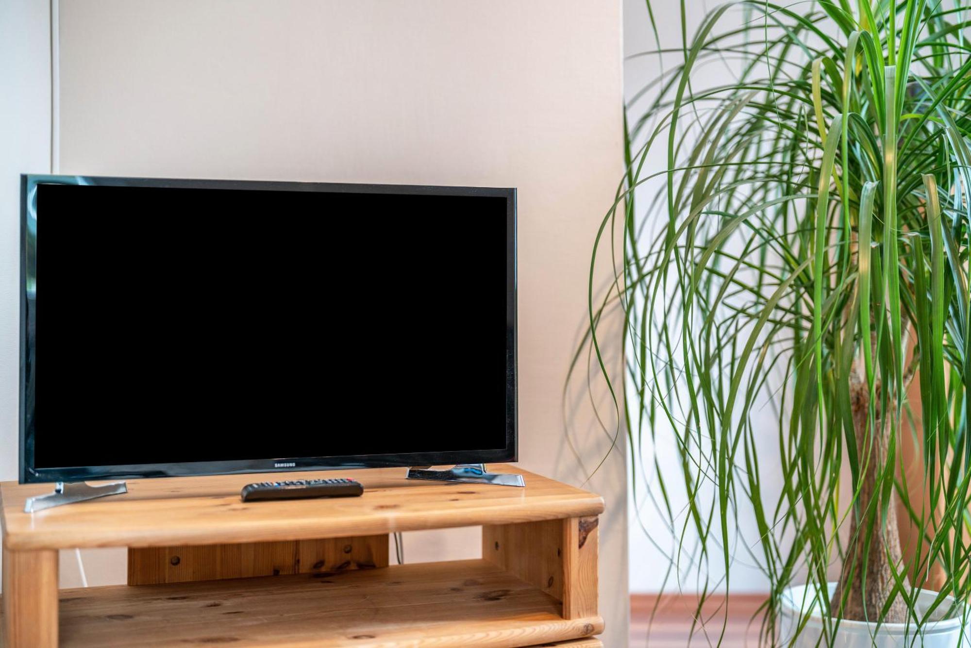Ferienwohnung Burgblick ハウザッハ エクステリア 写真