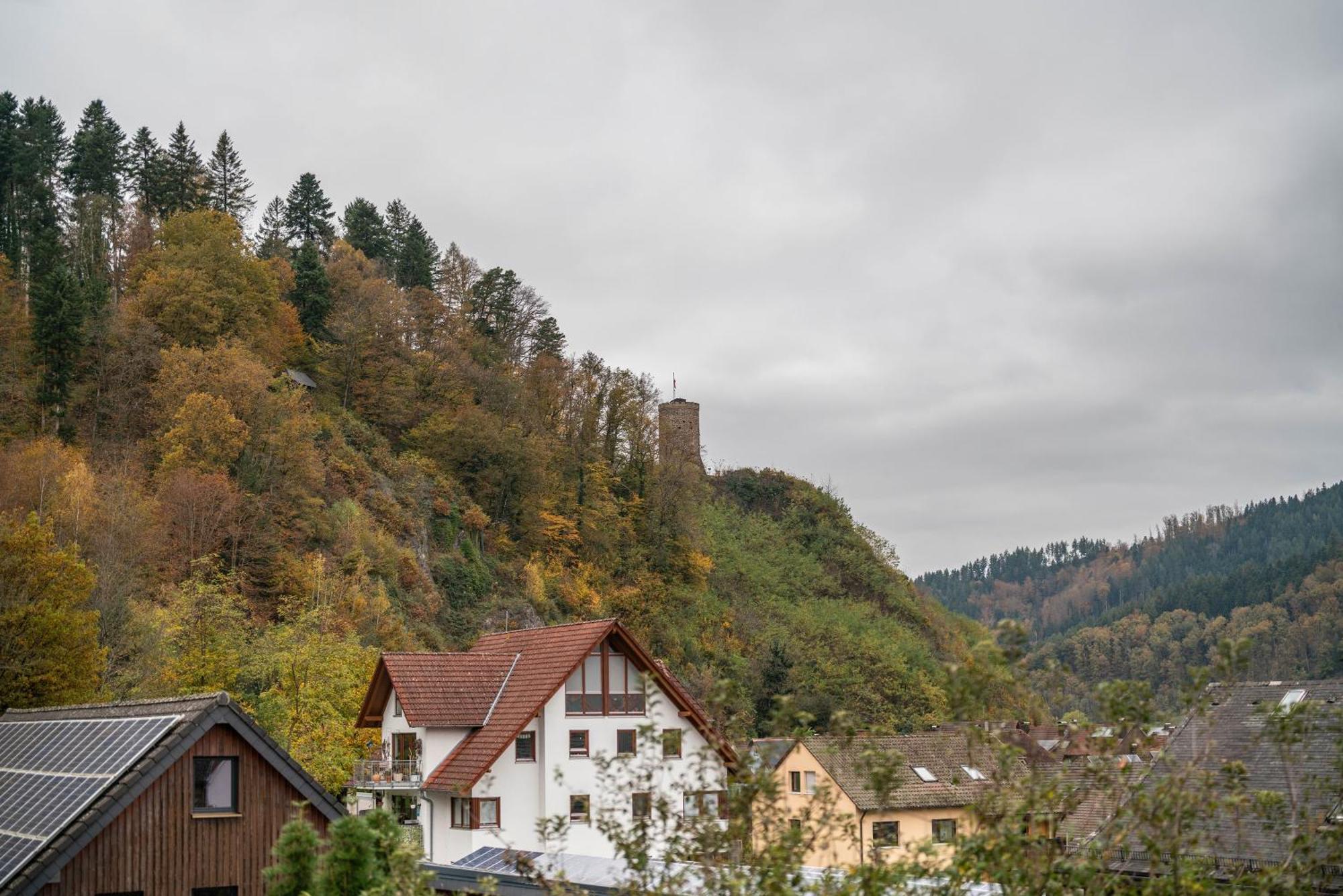 Ferienwohnung Burgblick ハウザッハ エクステリア 写真